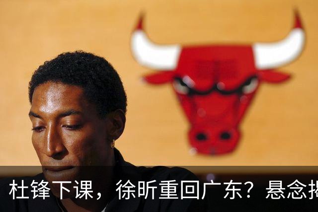 杜锋下课，徐昕重回广东？悬念揭晓，名记透露详情，回归时间曝光